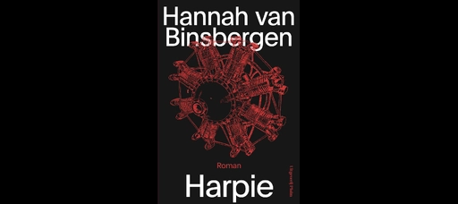 Harpie 2022, roman